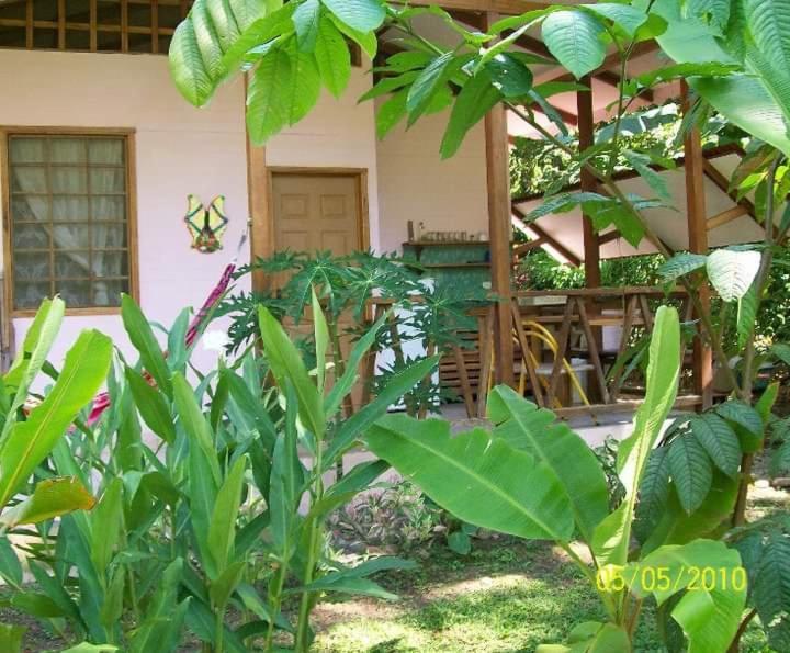 Luna Caribena Village Puerto Viejo de Talamanca Exterior photo
