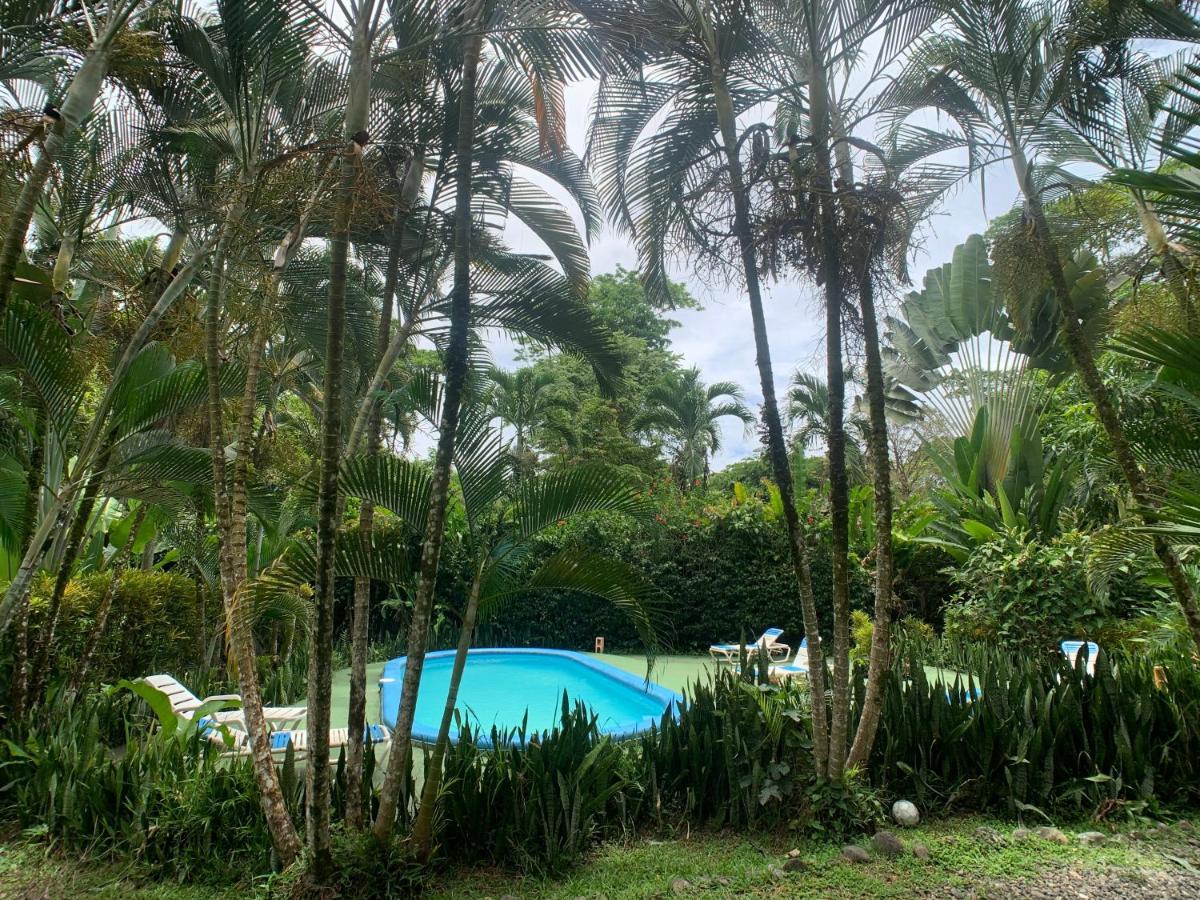 Luna Caribena Village Puerto Viejo de Talamanca Exterior photo