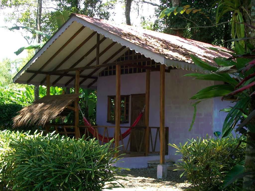 Luna Caribena Village Puerto Viejo de Talamanca Exterior photo