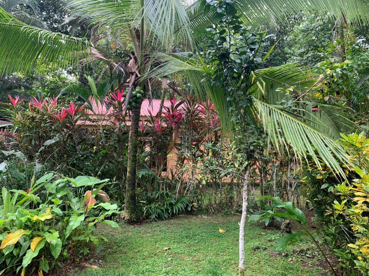 Luna Caribena Village Puerto Viejo de Talamanca Exterior photo