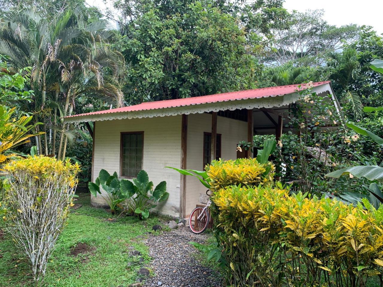 Luna Caribena Village Puerto Viejo de Talamanca Exterior photo