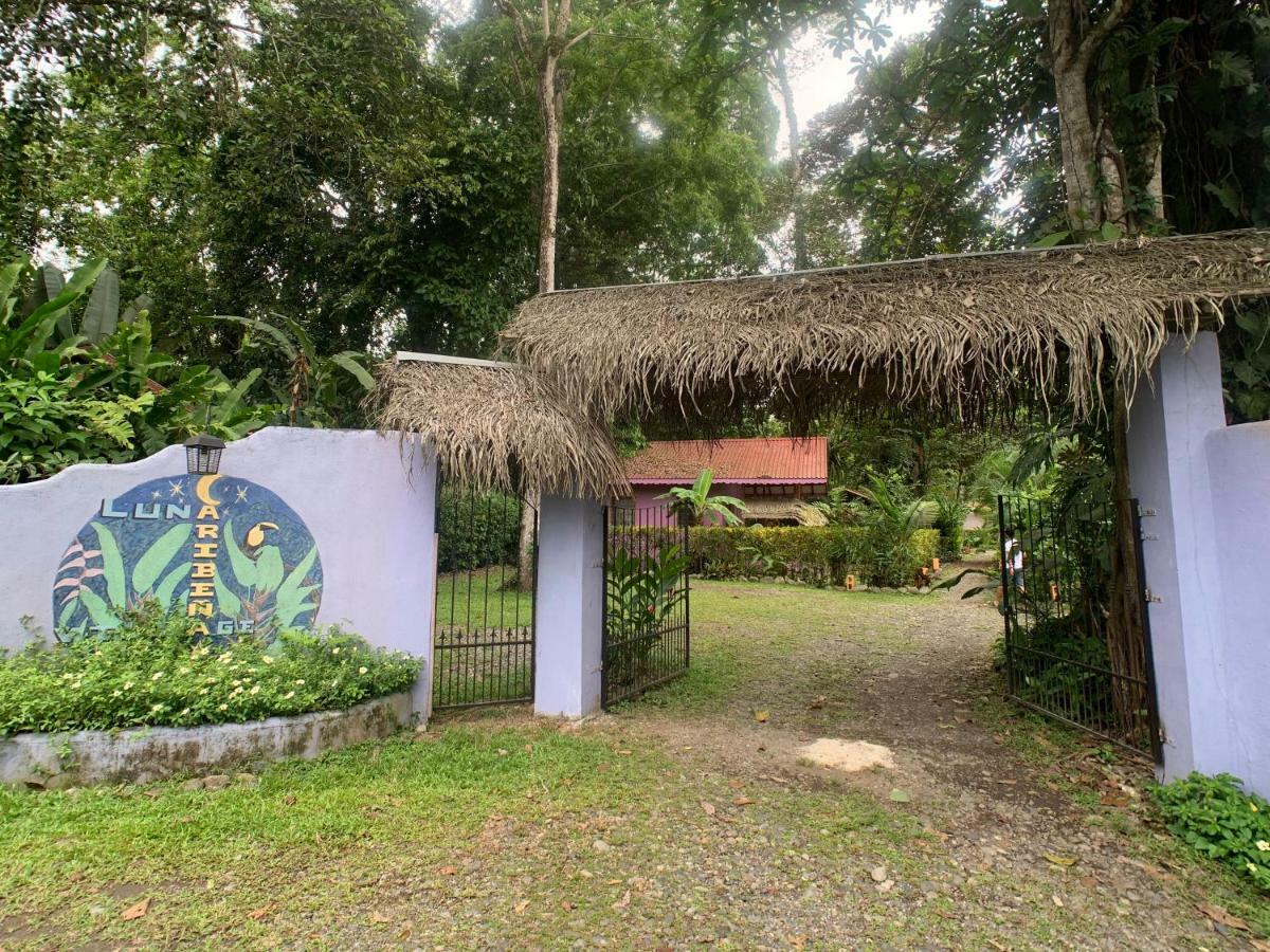 Luna Caribena Village Puerto Viejo de Talamanca Exterior photo