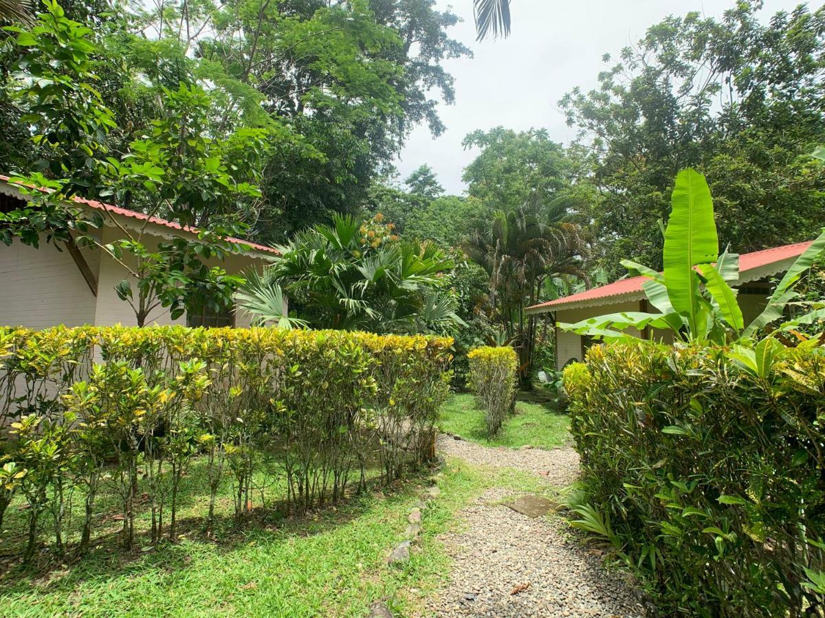 Luna Caribena Village Puerto Viejo de Talamanca Exterior photo